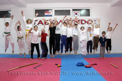 taekwondo kwon training